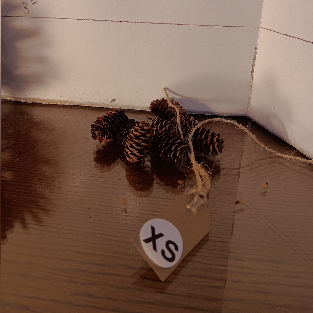 Tiny XS. Pinecones  1 quart bagful